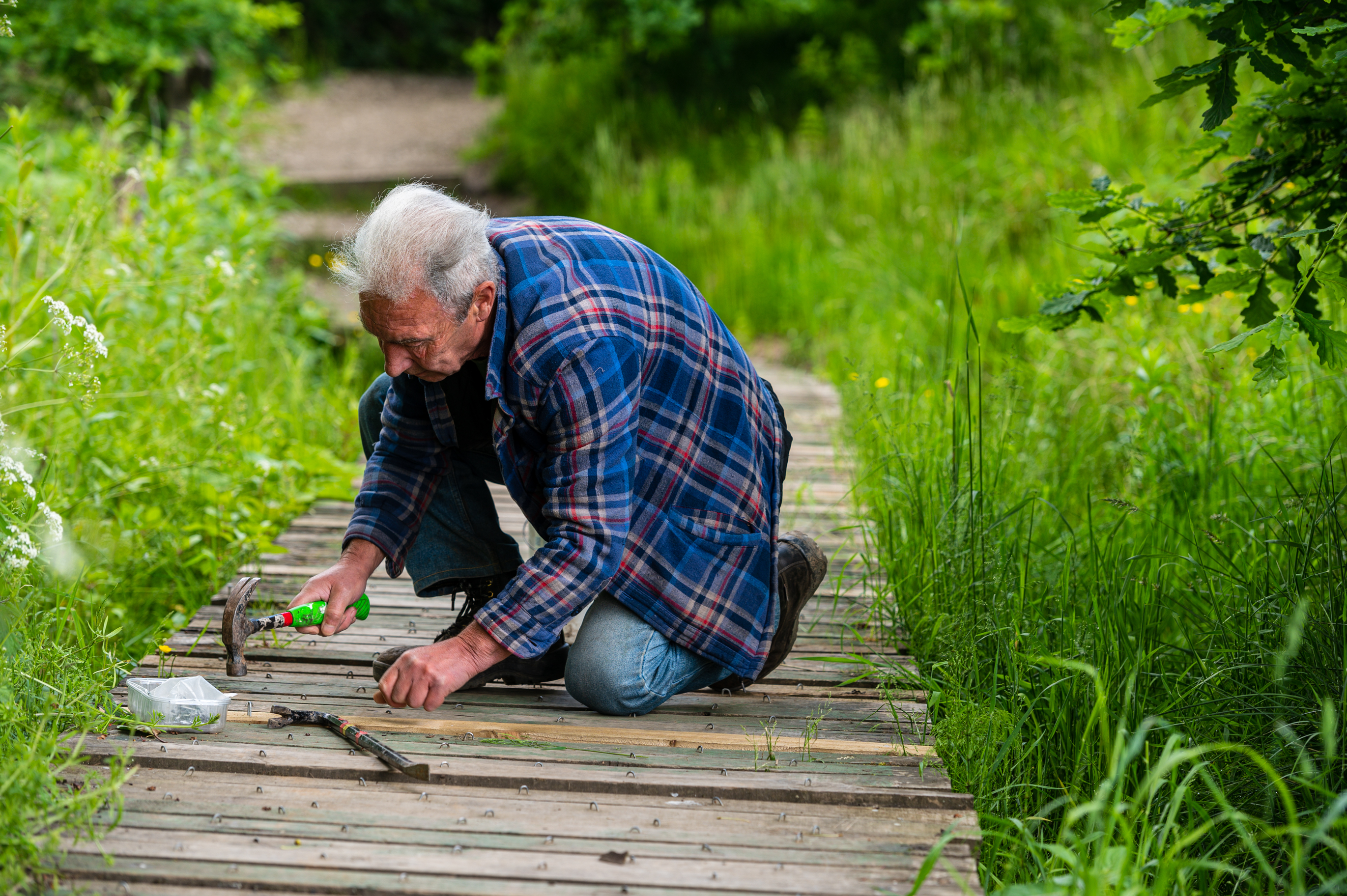 Older man hammering nails into a wooden garden path