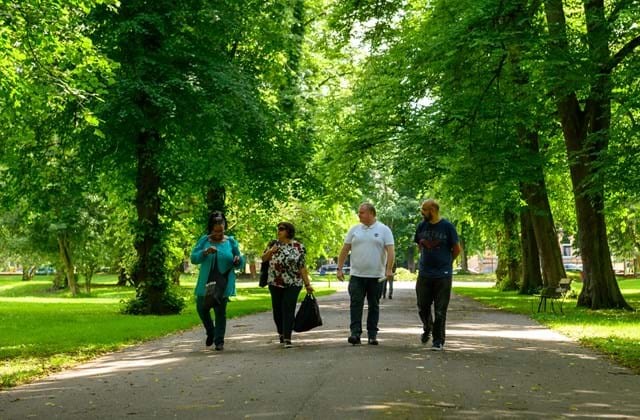 Group of four people walking through a park