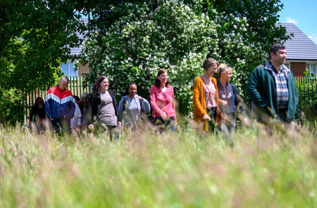 A group walking along a path with long grass in the foreground of the photo