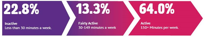 22.8% inactive, 13.3% fairly active, 64.0% active