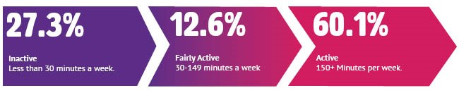 27.3% inactive, 12.6% fairly active, 60.1% active