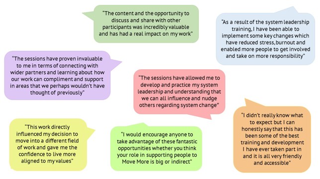 Systems leadership participant feedback