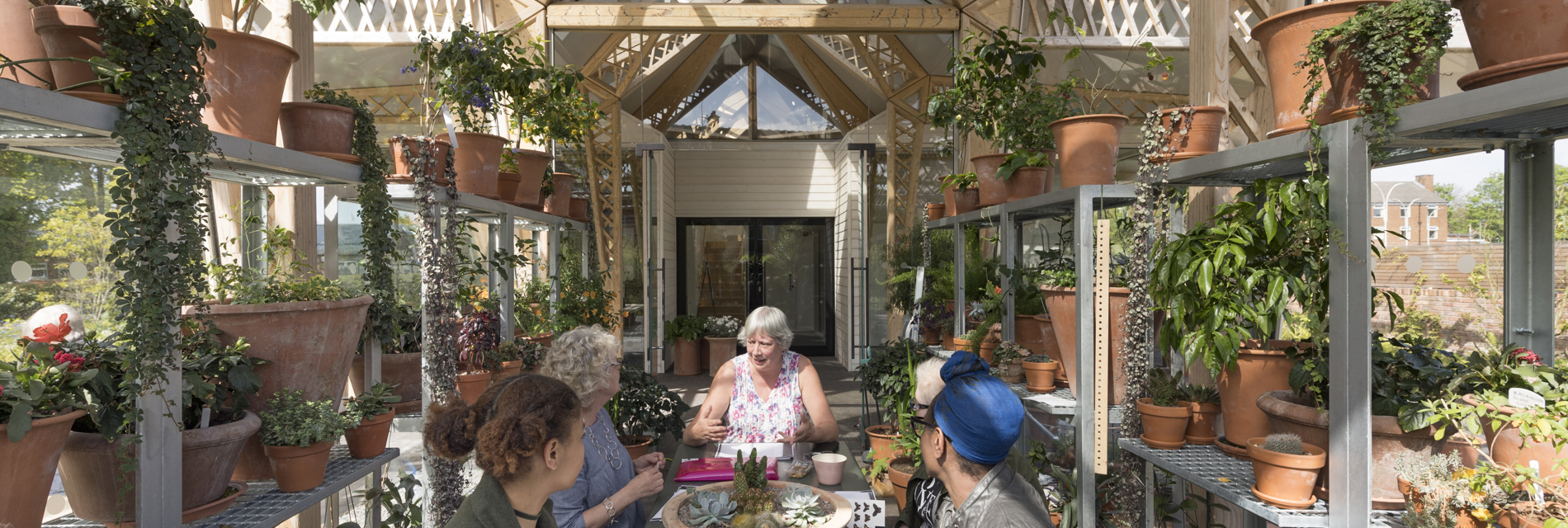 A group of adults sit and talk in a sunny room full of plants