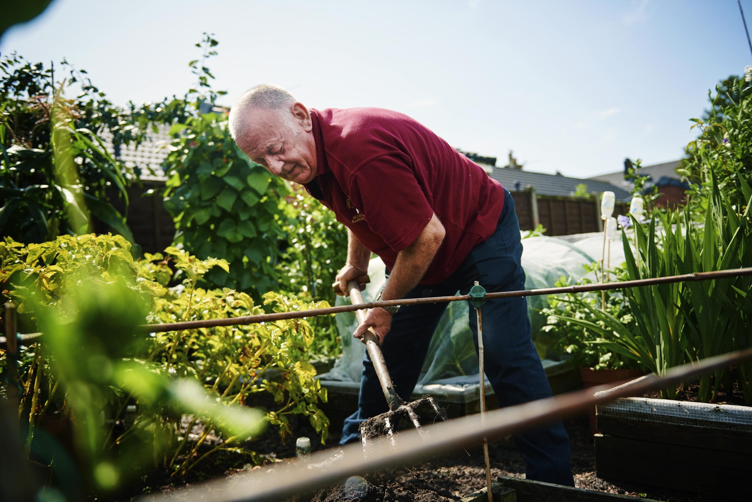 A man tends to the community garden in Wigan